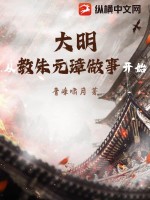 大明：从教朱元璋做事开始！