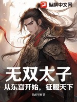  无双太子：从东宫开始，征服天下